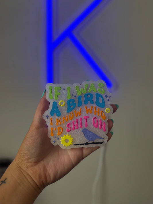 If I was A bird…